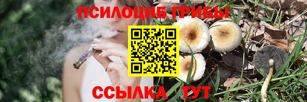 Псилоцибиновые грибы прущие грибы  Вход с VPN  дарнет шоп  Тосно 